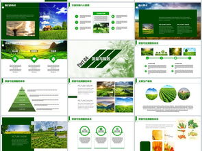 2018互聯網農業農副產品創業融資生態圈商業計劃書模板